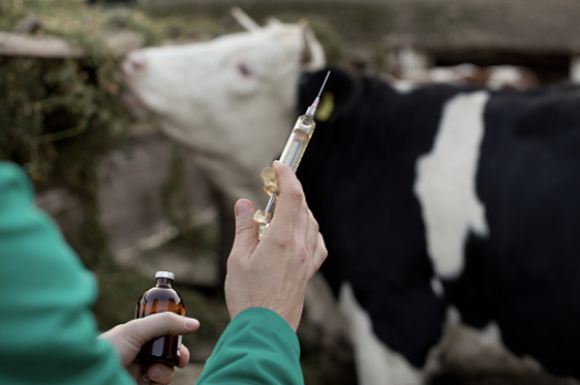 Missouri HB 1169 would force meat, food producers to label products that utilize mRNA vaccines in animals, while lobbyists and billionaires fight to stop the bill from becoming law